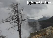 [P05] o splendoare ....dar imi inghetase mainile pe aparatul foto,sa stiti! » foto by georgiana
 - 
<span class="allrVoted glyphicon glyphicon-heart hidden" id="av68185"></span>
<a class="m-l-10 hidden" id="sv68185" onclick="voting_Foto_DelVot(,68185,4665)" role="button">șterge vot <span class="glyphicon glyphicon-remove"></span></a>
<a id="v968185" class=" c-red"  onclick="voting_Foto_SetVot(68185)" role="button"><span class="glyphicon glyphicon-heart-empty"></span> <b>LIKE</b> = Votează poza</a> <img class="hidden"  id="f68185W9" src="/imagini/loader.gif" border="0" /><span class="AjErrMes hidden" id="e68185ErM"></span>