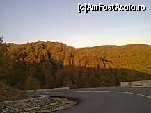 [P28] Drumul spre Ranca. 4 Octombrie 2009. » foto by FLORIN BECA*
 - 
<span class="allrVoted glyphicon glyphicon-heart hidden" id="av182828"></span>
<a class="m-l-10 hidden" id="sv182828" onclick="voting_Foto_DelVot(,182828,4665)" role="button">șterge vot <span class="glyphicon glyphicon-remove"></span></a>
<a id="v9182828" class=" c-red"  onclick="voting_Foto_SetVot(182828)" role="button"><span class="glyphicon glyphicon-heart-empty"></span> <b>LIKE</b> = Votează poza</a> <img class="hidden"  id="f182828W9" src="/imagini/loader.gif" border="0" /><span class="AjErrMes hidden" id="e182828ErM"></span>