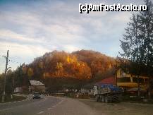 [P36] 5 Noiembrie 2010 » foto by FLORIN BECA*
 - 
<span class="allrVoted glyphicon glyphicon-heart hidden" id="av182909"></span>
<a class="m-l-10 hidden" id="sv182909" onclick="voting_Foto_DelVot(,182909,4665)" role="button">șterge vot <span class="glyphicon glyphicon-remove"></span></a>
<a id="v9182909" class=" c-red"  onclick="voting_Foto_SetVot(182909)" role="button"><span class="glyphicon glyphicon-heart-empty"></span> <b>LIKE</b> = Votează poza</a> <img class="hidden"  id="f182909W9" src="/imagini/loader.gif" border="0" /><span class="AjErrMes hidden" id="e182909ErM"></span>