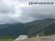 [P11]  -- <small>// FĂRĂ DESCRIERE</small> » foto by dpavel
 - 
<span class="allrVoted glyphicon glyphicon-heart hidden" id="av250701"></span>
<a class="m-l-10 hidden" id="sv250701" onclick="voting_Foto_DelVot(,250701,4665)" role="button">șterge vot <span class="glyphicon glyphicon-remove"></span></a>
<a id="v9250701" class=" c-red"  onclick="voting_Foto_SetVot(250701)" role="button"><span class="glyphicon glyphicon-heart-empty"></span> <b>LIKE</b> = Votează poza</a> <img class="hidden"  id="f250701W9" src="/imagini/loader.gif" border="0" /><span class="AjErrMes hidden" id="e250701ErM"></span>