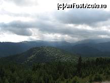 [P08]  -- <small>// FĂRĂ DESCRIERE</small> » foto by dpavel
 - 
<span class="allrVoted glyphicon glyphicon-heart hidden" id="av250698"></span>
<a class="m-l-10 hidden" id="sv250698" onclick="voting_Foto_DelVot(,250698,4665)" role="button">șterge vot <span class="glyphicon glyphicon-remove"></span></a>
<a id="v9250698" class=" c-red"  onclick="voting_Foto_SetVot(250698)" role="button"><span class="glyphicon glyphicon-heart-empty"></span> <b>LIKE</b> = Votează poza</a> <img class="hidden"  id="f250698W9" src="/imagini/loader.gif" border="0" /><span class="AjErrMes hidden" id="e250698ErM"></span>