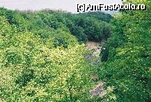 [P12] OLTETUL VAZUT DE PE DRUMUL CARE DUCE LA PESTERA POLOVRAGI » foto by relu1988
 - 
<span class="allrVoted glyphicon glyphicon-heart hidden" id="av61358"></span>
<a class="m-l-10 hidden" id="sv61358" onclick="voting_Foto_DelVot(,61358,4665)" role="button">șterge vot <span class="glyphicon glyphicon-remove"></span></a>
<a id="v961358" class=" c-red"  onclick="voting_Foto_SetVot(61358)" role="button"><span class="glyphicon glyphicon-heart-empty"></span> <b>LIKE</b> = Votează poza</a> <img class="hidden"  id="f61358W9" src="/imagini/loader.gif" border="0" /><span class="AjErrMes hidden" id="e61358ErM"></span>