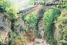 [P07] POD PESTE OLTET » foto by relu1988
 - 
<span class="allrVoted glyphicon glyphicon-heart hidden" id="av61353"></span>
<a class="m-l-10 hidden" id="sv61353" onclick="voting_Foto_DelVot(,61353,4665)" role="button">șterge vot <span class="glyphicon glyphicon-remove"></span></a>
<a id="v961353" class=" c-red"  onclick="voting_Foto_SetVot(61353)" role="button"><span class="glyphicon glyphicon-heart-empty"></span> <b>LIKE</b> = Votează poza</a> <img class="hidden"  id="f61353W9" src="/imagini/loader.gif" border="0" /><span class="AjErrMes hidden" id="e61353ErM"></span>