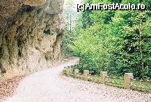 [P09] CHEILE OLTETULUI » foto by relu1988
 - 
<span class="allrVoted glyphicon glyphicon-heart hidden" id="av61355"></span>
<a class="m-l-10 hidden" id="sv61355" onclick="voting_Foto_DelVot(,61355,4665)" role="button">șterge vot <span class="glyphicon glyphicon-remove"></span></a>
<a id="v961355" class=" c-red"  onclick="voting_Foto_SetVot(61355)" role="button"><span class="glyphicon glyphicon-heart-empty"></span> <b>LIKE</b> = Votează poza</a> <img class="hidden"  id="f61355W9" src="/imagini/loader.gif" border="0" /><span class="AjErrMes hidden" id="e61355ErM"></span>