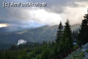 [P12] Rânca » foto by AZE
 - 
<span class="allrVoted glyphicon glyphicon-heart hidden" id="av955551"></span>
<a class="m-l-10 hidden" id="sv955551" onclick="voting_Foto_DelVot(,955551,4665)" role="button">șterge vot <span class="glyphicon glyphicon-remove"></span></a>
<a id="v9955551" class=" c-red"  onclick="voting_Foto_SetVot(955551)" role="button"><span class="glyphicon glyphicon-heart-empty"></span> <b>LIKE</b> = Votează poza</a> <img class="hidden"  id="f955551W9" src="/imagini/loader.gif" border="0" /><span class="AjErrMes hidden" id="e955551ErM"></span>