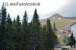 [P36]  -- <small>// FĂRĂ DESCRIERE</small> » foto by AZE
 - 
<span class="allrVoted glyphicon glyphicon-heart hidden" id="av955575"></span>
<a class="m-l-10 hidden" id="sv955575" onclick="voting_Foto_DelVot(,955575,4665)" role="button">șterge vot <span class="glyphicon glyphicon-remove"></span></a>
<a id="v9955575" class=" c-red"  onclick="voting_Foto_SetVot(955575)" role="button"><span class="glyphicon glyphicon-heart-empty"></span> <b>LIKE</b> = Votează poza</a> <img class="hidden"  id="f955575W9" src="/imagini/loader.gif" border="0" /><span class="AjErrMes hidden" id="e955575ErM"></span>