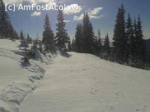 [P17] Imagine din Rânca » foto by costy69*
 - 
<span class="allrVoted glyphicon glyphicon-heart hidden" id="av708642"></span>
<a class="m-l-10 hidden" id="sv708642" onclick="voting_Foto_DelVot(,708642,4665)" role="button">șterge vot <span class="glyphicon glyphicon-remove"></span></a>
<a id="v9708642" class=" c-red"  onclick="voting_Foto_SetVot(708642)" role="button"><span class="glyphicon glyphicon-heart-empty"></span> <b>LIKE</b> = Votează poza</a> <img class="hidden"  id="f708642W9" src="/imagini/loader.gif" border="0" /><span class="AjErrMes hidden" id="e708642ErM"></span>