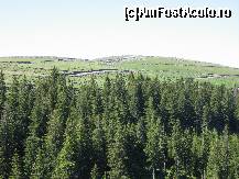 [P11] Pe vf. muntilor din zona de gol alpin potecutele oitelor.... » foto by mirelutza
 - 
<span class="allrVoted glyphicon glyphicon-heart hidden" id="av133708"></span>
<a class="m-l-10 hidden" id="sv133708" onclick="voting_Foto_DelVot(,133708,4665)" role="button">șterge vot <span class="glyphicon glyphicon-remove"></span></a>
<a id="v9133708" class=" c-red"  onclick="voting_Foto_SetVot(133708)" role="button"><span class="glyphicon glyphicon-heart-empty"></span> <b>LIKE</b> = Votează poza</a> <img class="hidden"  id="f133708W9" src="/imagini/loader.gif" border="0" /><span class="AjErrMes hidden" id="e133708ErM"></span>