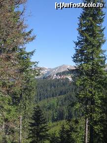 [P13] Poza mea preferata de la Ranca !parte din statiune in fundal si  o superba padure de conifere ... » foto by mirelutza
 - 
<span class="allrVoted glyphicon glyphicon-heart hidden" id="av133710"></span>
<a class="m-l-10 hidden" id="sv133710" onclick="voting_Foto_DelVot(,133710,4665)" role="button">șterge vot <span class="glyphicon glyphicon-remove"></span></a>
<a id="v9133710" class=" c-red"  onclick="voting_Foto_SetVot(133710)" role="button"><span class="glyphicon glyphicon-heart-empty"></span> <b>LIKE</b> = Votează poza</a> <img class="hidden"  id="f133710W9" src="/imagini/loader.gif" border="0" /><span class="AjErrMes hidden" id="e133710ErM"></span>