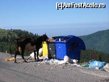 [P19] No Comment ! L-as intreba pe primar - daca ar merge in Franta pe Mont Blanc si ar vedea o asemenea imagine ce impresie si-ar forma ???? » foto by mirelutza
 - 
<span class="allrVoted glyphicon glyphicon-heart hidden" id="av133720"></span>
<a class="m-l-10 hidden" id="sv133720" onclick="voting_Foto_DelVot(,133720,4665)" role="button">șterge vot <span class="glyphicon glyphicon-remove"></span></a>
<a id="v9133720" class=" c-red"  onclick="voting_Foto_SetVot(133720)" role="button"><span class="glyphicon glyphicon-heart-empty"></span> <b>LIKE</b> = Votează poza</a> <img class="hidden"  id="f133720W9" src="/imagini/loader.gif" border="0" /><span class="AjErrMes hidden" id="e133720ErM"></span>