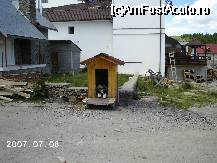 [P09] Grivei, un paşnic câine de pază, plictisit de agitaţia din jur » foto by Costi
 - 
<span class="allrVoted glyphicon glyphicon-heart hidden" id="av43100"></span>
<a class="m-l-10 hidden" id="sv43100" onclick="voting_Foto_DelVot(,43100,4665)" role="button">șterge vot <span class="glyphicon glyphicon-remove"></span></a>
<a id="v943100" class=" c-red"  onclick="voting_Foto_SetVot(43100)" role="button"><span class="glyphicon glyphicon-heart-empty"></span> <b>LIKE</b> = Votează poza</a> <img class="hidden"  id="f43100W9" src="/imagini/loader.gif" border="0" /><span class="AjErrMes hidden" id="e43100ErM"></span>