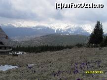 [P23] veti avea parte de peisaje superbe in Ranca » foto by ms65
 - 
<span class="allrVoted glyphicon glyphicon-heart hidden" id="av77313"></span>
<a class="m-l-10 hidden" id="sv77313" onclick="voting_Foto_DelVot(,77313,4665)" role="button">șterge vot <span class="glyphicon glyphicon-remove"></span></a>
<a id="v977313" class=" c-red"  onclick="voting_Foto_SetVot(77313)" role="button"><span class="glyphicon glyphicon-heart-empty"></span> <b>LIKE</b> = Votează poza</a> <img class="hidden"  id="f77313W9" src="/imagini/loader.gif" border="0" /><span class="AjErrMes hidden" id="e77313ErM"></span>