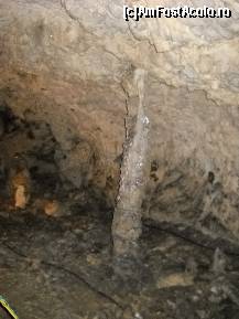 [P01]  -- <small>// FĂRĂ DESCRIERE</small> » foto by daria40
 - 
<span class="allrVoted glyphicon glyphicon-heart hidden" id="av94065"></span>
<a class="m-l-10 hidden" id="sv94065" onclick="voting_Foto_DelVot(,94065,4665)" role="button">șterge vot <span class="glyphicon glyphicon-remove"></span></a>
<a id="v994065" class=" c-red"  onclick="voting_Foto_SetVot(94065)" role="button"><span class="glyphicon glyphicon-heart-empty"></span> <b>LIKE</b> = Votează poza</a> <img class="hidden"  id="f94065W9" src="/imagini/loader.gif" border="0" /><span class="AjErrMes hidden" id="e94065ErM"></span>