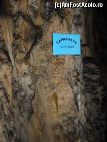 [P24] Pestera Polovragi » foto by daria40
 - 
<span class="allrVoted glyphicon glyphicon-heart hidden" id="av94110"></span>
<a class="m-l-10 hidden" id="sv94110" onclick="voting_Foto_DelVot(,94110,4665)" role="button">șterge vot <span class="glyphicon glyphicon-remove"></span></a>
<a id="v994110" class=" c-red"  onclick="voting_Foto_SetVot(94110)" role="button"><span class="glyphicon glyphicon-heart-empty"></span> <b>LIKE</b> = Votează poza</a> <img class="hidden"  id="f94110W9" src="/imagini/loader.gif" border="0" /><span class="AjErrMes hidden" id="e94110ErM"></span>