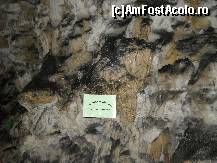 [P25]  -- <small>// FĂRĂ DESCRIERE</small> » foto by daria40
 - 
<span class="allrVoted glyphicon glyphicon-heart hidden" id="av94114"></span>
<a class="m-l-10 hidden" id="sv94114" onclick="voting_Foto_DelVot(,94114,4665)" role="button">șterge vot <span class="glyphicon glyphicon-remove"></span></a>
<a id="v994114" class=" c-red"  onclick="voting_Foto_SetVot(94114)" role="button"><span class="glyphicon glyphicon-heart-empty"></span> <b>LIKE</b> = Votează poza</a> <img class="hidden"  id="f94114W9" src="/imagini/loader.gif" border="0" /><span class="AjErrMes hidden" id="e94114ErM"></span>