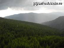 [P09]  -- <small>// FĂRĂ DESCRIERE</small> » foto by daria40
 - 
<span class="allrVoted glyphicon glyphicon-heart hidden" id="av94078"></span>
<a class="m-l-10 hidden" id="sv94078" onclick="voting_Foto_DelVot(,94078,4665)" role="button">șterge vot <span class="glyphicon glyphicon-remove"></span></a>
<a id="v994078" class=" c-red"  onclick="voting_Foto_SetVot(94078)" role="button"><span class="glyphicon glyphicon-heart-empty"></span> <b>LIKE</b> = Votează poza</a> <img class="hidden"  id="f94078W9" src="/imagini/loader.gif" border="0" /><span class="AjErrMes hidden" id="e94078ErM"></span>