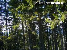 [P32]  -- <small>// FĂRĂ DESCRIERE</small> » foto by magdalena
 - 
<span class="allrVoted glyphicon glyphicon-heart hidden" id="av170460"></span>
<a class="m-l-10 hidden" id="sv170460" onclick="voting_Foto_DelVot(,170460,4665)" role="button">șterge vot <span class="glyphicon glyphicon-remove"></span></a>
<a id="v9170460" class=" c-red"  onclick="voting_Foto_SetVot(170460)" role="button"><span class="glyphicon glyphicon-heart-empty"></span> <b>LIKE</b> = Votează poza</a> <img class="hidden"  id="f170460W9" src="/imagini/loader.gif" border="0" /><span class="AjErrMes hidden" id="e170460ErM"></span>