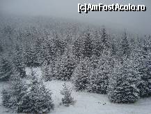 [P10] Poza facuta din curtea Pensiunii Valea Mariei » foto by Ellada_sagapo
 - 
<span class="allrVoted glyphicon glyphicon-heart hidden" id="av177490"></span>
<a class="m-l-10 hidden" id="sv177490" onclick="voting_Foto_DelVot(,177490,4665)" role="button">șterge vot <span class="glyphicon glyphicon-remove"></span></a>
<a id="v9177490" class=" c-red"  onclick="voting_Foto_SetVot(177490)" role="button"><span class="glyphicon glyphicon-heart-empty"></span> <b>LIKE</b> = Votează poza</a> <img class="hidden"  id="f177490W9" src="/imagini/loader.gif" border="0" /><span class="AjErrMes hidden" id="e177490ErM"></span>