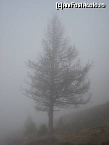 [P12] Ceata ceata si iar ceata. Pana si pensiunea era greu de zarit. » foto by Ellada_sagapo
 - 
<span class="allrVoted glyphicon glyphicon-heart hidden" id="av177492"></span>
<a class="m-l-10 hidden" id="sv177492" onclick="voting_Foto_DelVot(,177492,4665)" role="button">șterge vot <span class="glyphicon glyphicon-remove"></span></a>
<a id="v9177492" class=" c-red"  onclick="voting_Foto_SetVot(177492)" role="button"><span class="glyphicon glyphicon-heart-empty"></span> <b>LIKE</b> = Votează poza</a> <img class="hidden"  id="f177492W9" src="/imagini/loader.gif" border="0" /><span class="AjErrMes hidden" id="e177492ErM"></span>