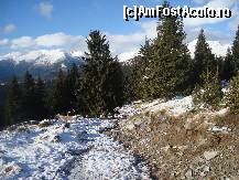 [P13] Am vazut o poteca pe langa o cabana si bineinteles ca a trebuit sa vad unde duce! » foto by Ellada_sagapo
 - 
<span class="allrVoted glyphicon glyphicon-heart hidden" id="av177493"></span>
<a class="m-l-10 hidden" id="sv177493" onclick="voting_Foto_DelVot(,177493,4665)" role="button">șterge vot <span class="glyphicon glyphicon-remove"></span></a>
<a id="v9177493" class=" c-red"  onclick="voting_Foto_SetVot(177493)" role="button"><span class="glyphicon glyphicon-heart-empty"></span> <b>LIKE</b> = Votează poza</a> <img class="hidden"  id="f177493W9" src="/imagini/loader.gif" border="0" /><span class="AjErrMes hidden" id="e177493ErM"></span>