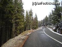 [P17] Verde in stanga, verde in dreapta si... rosu in obraji de la frig! » foto by Ellada_sagapo
 - 
<span class="allrVoted glyphicon glyphicon-heart hidden" id="av177497"></span>
<a class="m-l-10 hidden" id="sv177497" onclick="voting_Foto_DelVot(,177497,4665)" role="button">șterge vot <span class="glyphicon glyphicon-remove"></span></a>
<a id="v9177497" class=" c-red"  onclick="voting_Foto_SetVot(177497)" role="button"><span class="glyphicon glyphicon-heart-empty"></span> <b>LIKE</b> = Votează poza</a> <img class="hidden"  id="f177497W9" src="/imagini/loader.gif" border="0" /><span class="AjErrMes hidden" id="e177497ErM"></span>