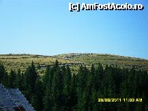 [P116] soseaua spre Novaci se zareste departe » foto by adryana
 - 
<span class="allrVoted glyphicon glyphicon-heart hidden" id="av250167"></span>
<a class="m-l-10 hidden" id="sv250167" onclick="voting_Foto_DelVot(,250167,4665)" role="button">șterge vot <span class="glyphicon glyphicon-remove"></span></a>
<a id="v9250167" class=" c-red"  onclick="voting_Foto_SetVot(250167)" role="button"><span class="glyphicon glyphicon-heart-empty"></span> <b>LIKE</b> = Votează poza</a> <img class="hidden"  id="f250167W9" src="/imagini/loader.gif" border="0" /><span class="AjErrMes hidden" id="e250167ErM"></span>