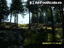 [P119] Partia M 2 » foto by adryana
 - 
<span class="allrVoted glyphicon glyphicon-heart hidden" id="av250171"></span>
<a class="m-l-10 hidden" id="sv250171" onclick="voting_Foto_DelVot(,250171,4665)" role="button">șterge vot <span class="glyphicon glyphicon-remove"></span></a>
<a id="v9250171" class=" c-red"  onclick="voting_Foto_SetVot(250171)" role="button"><span class="glyphicon glyphicon-heart-empty"></span> <b>LIKE</b> = Votează poza</a> <img class="hidden"  id="f250171W9" src="/imagini/loader.gif" border="0" /><span class="AjErrMes hidden" id="e250171ErM"></span>