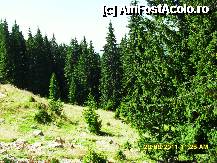 [P120]  -- <small>// FĂRĂ DESCRIERE</small> » foto by adryana
 - 
<span class="allrVoted glyphicon glyphicon-heart hidden" id="av250174"></span>
<a class="m-l-10 hidden" id="sv250174" onclick="voting_Foto_DelVot(,250174,4665)" role="button">șterge vot <span class="glyphicon glyphicon-remove"></span></a>
<a id="v9250174" class=" c-red"  onclick="voting_Foto_SetVot(250174)" role="button"><span class="glyphicon glyphicon-heart-empty"></span> <b>LIKE</b> = Votează poza</a> <img class="hidden"  id="f250174W9" src="/imagini/loader.gif" border="0" /><span class="AjErrMes hidden" id="e250174ErM"></span>