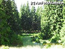 [P123] la revedere Ranca, sigur vom reveni aici. » foto by adryana
 - 
<span class="allrVoted glyphicon glyphicon-heart hidden" id="av250180"></span>
<a class="m-l-10 hidden" id="sv250180" onclick="voting_Foto_DelVot(,250180,4665)" role="button">șterge vot <span class="glyphicon glyphicon-remove"></span></a>
<a id="v9250180" class=" c-red"  onclick="voting_Foto_SetVot(250180)" role="button"><span class="glyphicon glyphicon-heart-empty"></span> <b>LIKE</b> = Votează poza</a> <img class="hidden"  id="f250180W9" src="/imagini/loader.gif" border="0" /><span class="AjErrMes hidden" id="e250180ErM"></span>