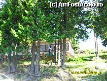 [P26] magazinul alimentar , ascuns dupa brazi. » foto by adryana
 - 
<span class="allrVoted glyphicon glyphicon-heart hidden" id="av250037"></span>
<a class="m-l-10 hidden" id="sv250037" onclick="voting_Foto_DelVot(,250037,4665)" role="button">șterge vot <span class="glyphicon glyphicon-remove"></span></a>
<a id="v9250037" class=" c-red"  onclick="voting_Foto_SetVot(250037)" role="button"><span class="glyphicon glyphicon-heart-empty"></span> <b>LIKE</b> = Votează poza</a> <img class="hidden"  id="f250037W9" src="/imagini/loader.gif" border="0" /><span class="AjErrMes hidden" id="e250037ErM"></span>