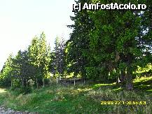 [P27] langa sosea » foto by adryana
 - 
<span class="allrVoted glyphicon glyphicon-heart hidden" id="av250038"></span>
<a class="m-l-10 hidden" id="sv250038" onclick="voting_Foto_DelVot(,250038,4665)" role="button">șterge vot <span class="glyphicon glyphicon-remove"></span></a>
<a id="v9250038" class=" c-red"  onclick="voting_Foto_SetVot(250038)" role="button"><span class="glyphicon glyphicon-heart-empty"></span> <b>LIKE</b> = Votează poza</a> <img class="hidden"  id="f250038W9" src="/imagini/loader.gif" border="0" /><span class="AjErrMes hidden" id="e250038ErM"></span>