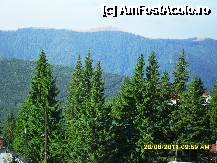 [P33]  -- <small>// FĂRĂ DESCRIERE</small> » foto by adryana
 - 
<span class="allrVoted glyphicon glyphicon-heart hidden" id="av250046"></span>
<a class="m-l-10 hidden" id="sv250046" onclick="voting_Foto_DelVot(,250046,4665)" role="button">șterge vot <span class="glyphicon glyphicon-remove"></span></a>
<a id="v9250046" class=" c-red"  onclick="voting_Foto_SetVot(250046)" role="button"><span class="glyphicon glyphicon-heart-empty"></span> <b>LIKE</b> = Votează poza</a> <img class="hidden"  id="f250046W9" src="/imagini/loader.gif" border="0" /><span class="AjErrMes hidden" id="e250046ErM"></span>