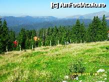 [P36] bucurati-va ochii cu verdele naturii » foto by adryana
 - 
<span class="allrVoted glyphicon glyphicon-heart hidden" id="av250049"></span>
<a class="m-l-10 hidden" id="sv250049" onclick="voting_Foto_DelVot(,250049,4665)" role="button">șterge vot <span class="glyphicon glyphicon-remove"></span></a>
<a id="v9250049" class=" c-red"  onclick="voting_Foto_SetVot(250049)" role="button"><span class="glyphicon glyphicon-heart-empty"></span> <b>LIKE</b> = Votează poza</a> <img class="hidden"  id="f250049W9" src="/imagini/loader.gif" border="0" /><span class="AjErrMes hidden" id="e250049ErM"></span>