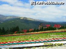 [P04] partia si muntii » foto by adryana
 - 
<span class="allrVoted glyphicon glyphicon-heart hidden" id="av249989"></span>
<a class="m-l-10 hidden" id="sv249989" onclick="voting_Foto_DelVot(,249989,4665)" role="button">șterge vot <span class="glyphicon glyphicon-remove"></span></a>
<a id="v9249989" class=" c-red"  onclick="voting_Foto_SetVot(249989)" role="button"><span class="glyphicon glyphicon-heart-empty"></span> <b>LIKE</b> = Votează poza</a> <img class="hidden"  id="f249989W9" src="/imagini/loader.gif" border="0" /><span class="AjErrMes hidden" id="e249989ErM"></span>