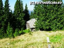 [P49] cabana veche din lemn, ascunsa in padure » foto by adryana
 - 
<span class="allrVoted glyphicon glyphicon-heart hidden" id="av250067"></span>
<a class="m-l-10 hidden" id="sv250067" onclick="voting_Foto_DelVot(,250067,4665)" role="button">șterge vot <span class="glyphicon glyphicon-remove"></span></a>
<a id="v9250067" class=" c-red"  onclick="voting_Foto_SetVot(250067)" role="button"><span class="glyphicon glyphicon-heart-empty"></span> <b>LIKE</b> = Votează poza</a> <img class="hidden"  id="f250067W9" src="/imagini/loader.gif" border="0" /><span class="AjErrMes hidden" id="e250067ErM"></span>