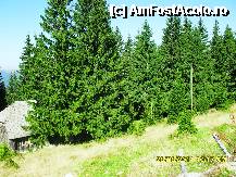 [P50]  -- <small>// FĂRĂ DESCRIERE</small> » foto by adryana
 - 
<span class="allrVoted glyphicon glyphicon-heart hidden" id="av250069"></span>
<a class="m-l-10 hidden" id="sv250069" onclick="voting_Foto_DelVot(,250069,4665)" role="button">șterge vot <span class="glyphicon glyphicon-remove"></span></a>
<a id="v9250069" class=" c-red"  onclick="voting_Foto_SetVot(250069)" role="button"><span class="glyphicon glyphicon-heart-empty"></span> <b>LIKE</b> = Votează poza</a> <img class="hidden"  id="f250069W9" src="/imagini/loader.gif" border="0" /><span class="AjErrMes hidden" id="e250069ErM"></span>