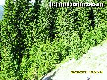 [P52]  -- <small>// FĂRĂ DESCRIERE</small> » foto by adryana
 - 
<span class="allrVoted glyphicon glyphicon-heart hidden" id="av250074"></span>
<a class="m-l-10 hidden" id="sv250074" onclick="voting_Foto_DelVot(,250074,4665)" role="button">șterge vot <span class="glyphicon glyphicon-remove"></span></a>
<a id="v9250074" class=" c-red"  onclick="voting_Foto_SetVot(250074)" role="button"><span class="glyphicon glyphicon-heart-empty"></span> <b>LIKE</b> = Votează poza</a> <img class="hidden"  id="f250074W9" src="/imagini/loader.gif" border="0" /><span class="AjErrMes hidden" id="e250074ErM"></span>