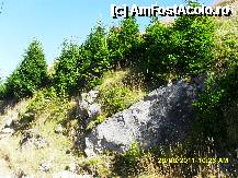 [P54]  -- <small>// FĂRĂ DESCRIERE</small> » foto by adryana
 - 
<span class="allrVoted glyphicon glyphicon-heart hidden" id="av250080"></span>
<a class="m-l-10 hidden" id="sv250080" onclick="voting_Foto_DelVot(,250080,4665)" role="button">șterge vot <span class="glyphicon glyphicon-remove"></span></a>
<a id="v9250080" class=" c-red"  onclick="voting_Foto_SetVot(250080)" role="button"><span class="glyphicon glyphicon-heart-empty"></span> <b>LIKE</b> = Votează poza</a> <img class="hidden"  id="f250080W9" src="/imagini/loader.gif" border="0" /><span class="AjErrMes hidden" id="e250080ErM"></span>