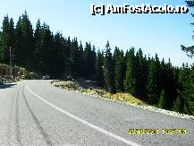 [P55] spre capatul statiunii, la pas pe marginea soselei. » foto by adryana
 - 
<span class="allrVoted glyphicon glyphicon-heart hidden" id="av250082"></span>
<a class="m-l-10 hidden" id="sv250082" onclick="voting_Foto_DelVot(,250082,4665)" role="button">șterge vot <span class="glyphicon glyphicon-remove"></span></a>
<a id="v9250082" class=" c-red"  onclick="voting_Foto_SetVot(250082)" role="button"><span class="glyphicon glyphicon-heart-empty"></span> <b>LIKE</b> = Votează poza</a> <img class="hidden"  id="f250082W9" src="/imagini/loader.gif" border="0" /><span class="AjErrMes hidden" id="e250082ErM"></span>