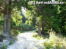 [P57]  -- <small>// FĂRĂ DESCRIERE</small> » foto by adryana
 - 
<span class="allrVoted glyphicon glyphicon-heart hidden" id="av250087"></span>
<a class="m-l-10 hidden" id="sv250087" onclick="voting_Foto_DelVot(,250087,4665)" role="button">șterge vot <span class="glyphicon glyphicon-remove"></span></a>
<a id="v9250087" class=" c-red"  onclick="voting_Foto_SetVot(250087)" role="button"><span class="glyphicon glyphicon-heart-empty"></span> <b>LIKE</b> = Votează poza</a> <img class="hidden"  id="f250087W9" src="/imagini/loader.gif" border="0" /><span class="AjErrMes hidden" id="e250087ErM"></span>