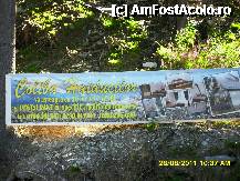 [P63]  -- <small>// FĂRĂ DESCRIERE</small> » foto by adryana
 - 
<span class="allrVoted glyphicon glyphicon-heart hidden" id="av250098"></span>
<a class="m-l-10 hidden" id="sv250098" onclick="voting_Foto_DelVot(,250098,4665)" role="button">șterge vot <span class="glyphicon glyphicon-remove"></span></a>
<a id="v9250098" class=" c-red"  onclick="voting_Foto_SetVot(250098)" role="button"><span class="glyphicon glyphicon-heart-empty"></span> <b>LIKE</b> = Votează poza</a> <img class="hidden"  id="f250098W9" src="/imagini/loader.gif" border="0" /><span class="AjErrMes hidden" id="e250098ErM"></span>