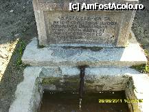 [P65]  -- <small>// FĂRĂ DESCRIERE</small> » foto by adryana
 - 
<span class="allrVoted glyphicon glyphicon-heart hidden" id="av250101"></span>
<a class="m-l-10 hidden" id="sv250101" onclick="voting_Foto_DelVot(,250101,4665)" role="button">șterge vot <span class="glyphicon glyphicon-remove"></span></a>
<a id="v9250101" class=" c-red"  onclick="voting_Foto_SetVot(250101)" role="button"><span class="glyphicon glyphicon-heart-empty"></span> <b>LIKE</b> = Votează poza</a> <img class="hidden"  id="f250101W9" src="/imagini/loader.gif" border="0" /><span class="AjErrMes hidden" id="e250101ErM"></span>