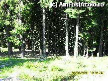 [P66]  -- <small>// FĂRĂ DESCRIERE</small> » foto by adryana
 - 
<span class="allrVoted glyphicon glyphicon-heart hidden" id="av250103"></span>
<a class="m-l-10 hidden" id="sv250103" onclick="voting_Foto_DelVot(,250103,4665)" role="button">șterge vot <span class="glyphicon glyphicon-remove"></span></a>
<a id="v9250103" class=" c-red"  onclick="voting_Foto_SetVot(250103)" role="button"><span class="glyphicon glyphicon-heart-empty"></span> <b>LIKE</b> = Votează poza</a> <img class="hidden"  id="f250103W9" src="/imagini/loader.gif" border="0" /><span class="AjErrMes hidden" id="e250103ErM"></span>