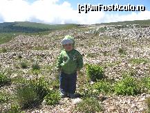 [P02] Modalitatile de distractie si relaxare, plimbare pe santier » foto by amalyca
 - 
<span class="allrVoted glyphicon glyphicon-heart hidden" id="av101013"></span>
<a class="m-l-10 hidden" id="sv101013" onclick="voting_Foto_DelVot(,101013,4665)" role="button">șterge vot <span class="glyphicon glyphicon-remove"></span></a>
<a id="v9101013" class=" c-red"  onclick="voting_Foto_SetVot(101013)" role="button"><span class="glyphicon glyphicon-heart-empty"></span> <b>LIKE</b> = Votează poza</a> <img class="hidden"  id="f101013W9" src="/imagini/loader.gif" border="0" /><span class="AjErrMes hidden" id="e101013ErM"></span>