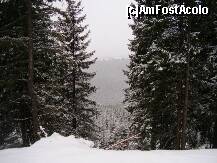 [P05]  -- <small>// FĂRĂ DESCRIERE</small> » foto by any*
 - 
<span class="allrVoted glyphicon glyphicon-heart hidden" id="av172817"></span>
<a class="m-l-10 hidden" id="sv172817" onclick="voting_Foto_DelVot(,172817,4665)" role="button">șterge vot <span class="glyphicon glyphicon-remove"></span></a>
<a id="v9172817" class=" c-red"  onclick="voting_Foto_SetVot(172817)" role="button"><span class="glyphicon glyphicon-heart-empty"></span> <b>LIKE</b> = Votează poza</a> <img class="hidden"  id="f172817W9" src="/imagini/loader.gif" border="0" /><span class="AjErrMes hidden" id="e172817ErM"></span>