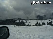 [P07]  -- <small>// FĂRĂ DESCRIERE</small> » foto by any*
 - 
<span class="allrVoted glyphicon glyphicon-heart hidden" id="av172819"></span>
<a class="m-l-10 hidden" id="sv172819" onclick="voting_Foto_DelVot(,172819,4665)" role="button">șterge vot <span class="glyphicon glyphicon-remove"></span></a>
<a id="v9172819" class=" c-red"  onclick="voting_Foto_SetVot(172819)" role="button"><span class="glyphicon glyphicon-heart-empty"></span> <b>LIKE</b> = Votează poza</a> <img class="hidden"  id="f172819W9" src="/imagini/loader.gif" border="0" /><span class="AjErrMes hidden" id="e172819ErM"></span>