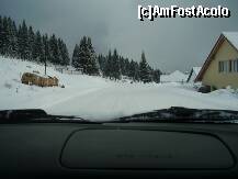 [P08]  -- <small>// FĂRĂ DESCRIERE</small> » foto by any*
 - 
<span class="allrVoted glyphicon glyphicon-heart hidden" id="av172820"></span>
<a class="m-l-10 hidden" id="sv172820" onclick="voting_Foto_DelVot(,172820,4665)" role="button">șterge vot <span class="glyphicon glyphicon-remove"></span></a>
<a id="v9172820" class=" c-red"  onclick="voting_Foto_SetVot(172820)" role="button"><span class="glyphicon glyphicon-heart-empty"></span> <b>LIKE</b> = Votează poza</a> <img class="hidden"  id="f172820W9" src="/imagini/loader.gif" border="0" /><span class="AjErrMes hidden" id="e172820ErM"></span>