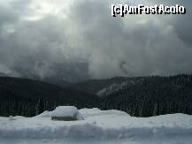 [P09]  -- <small>// FĂRĂ DESCRIERE</small> » foto by any*
 - 
<span class="allrVoted glyphicon glyphicon-heart hidden" id="av172821"></span>
<a class="m-l-10 hidden" id="sv172821" onclick="voting_Foto_DelVot(,172821,4665)" role="button">șterge vot <span class="glyphicon glyphicon-remove"></span></a>
<a id="v9172821" class=" c-red"  onclick="voting_Foto_SetVot(172821)" role="button"><span class="glyphicon glyphicon-heart-empty"></span> <b>LIKE</b> = Votează poza</a> <img class="hidden"  id="f172821W9" src="/imagini/loader.gif" border="0" /><span class="AjErrMes hidden" id="e172821ErM"></span>