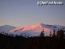 [P16] Daca priviti cu atentie , veti vedea si noua partie ... » foto by rodik
 - 
<span class="allrVoted glyphicon glyphicon-heart hidden" id="av182569"></span>
<a class="m-l-10 hidden" id="sv182569" onclick="voting_Foto_DelVot(,182569,4665)" role="button">șterge vot <span class="glyphicon glyphicon-remove"></span></a>
<a id="v9182569" class=" c-red"  onclick="voting_Foto_SetVot(182569)" role="button"><span class="glyphicon glyphicon-heart-empty"></span> <b>LIKE</b> = Votează poza</a> <img class="hidden"  id="f182569W9" src="/imagini/loader.gif" border="0" /><span class="AjErrMes hidden" id="e182569ErM"></span>