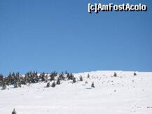 [P22]  -- <small>// FĂRĂ DESCRIERE</small> » foto by rodik
 - 
<span class="allrVoted glyphicon glyphicon-heart hidden" id="av182584"></span>
<a class="m-l-10 hidden" id="sv182584" onclick="voting_Foto_DelVot(,182584,4665)" role="button">șterge vot <span class="glyphicon glyphicon-remove"></span></a>
<a id="v9182584" class=" c-red"  onclick="voting_Foto_SetVot(182584)" role="button"><span class="glyphicon glyphicon-heart-empty"></span> <b>LIKE</b> = Votează poza</a> <img class="hidden"  id="f182584W9" src="/imagini/loader.gif" border="0" /><span class="AjErrMes hidden" id="e182584ErM"></span>